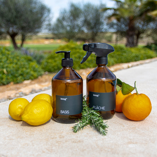 Basis-flaeche